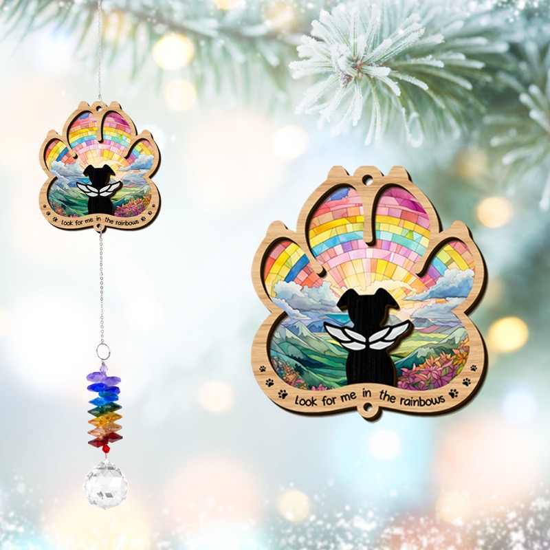 Look For Me In Rainbows Pet